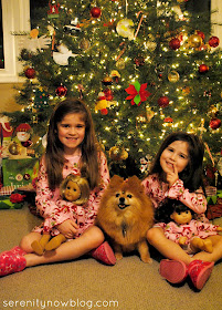 Our Christmas in Pictures {2012} from Serenity Now