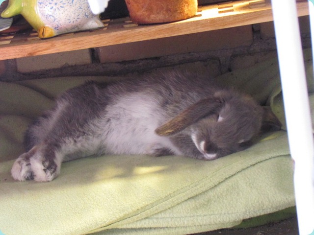 Image00634
