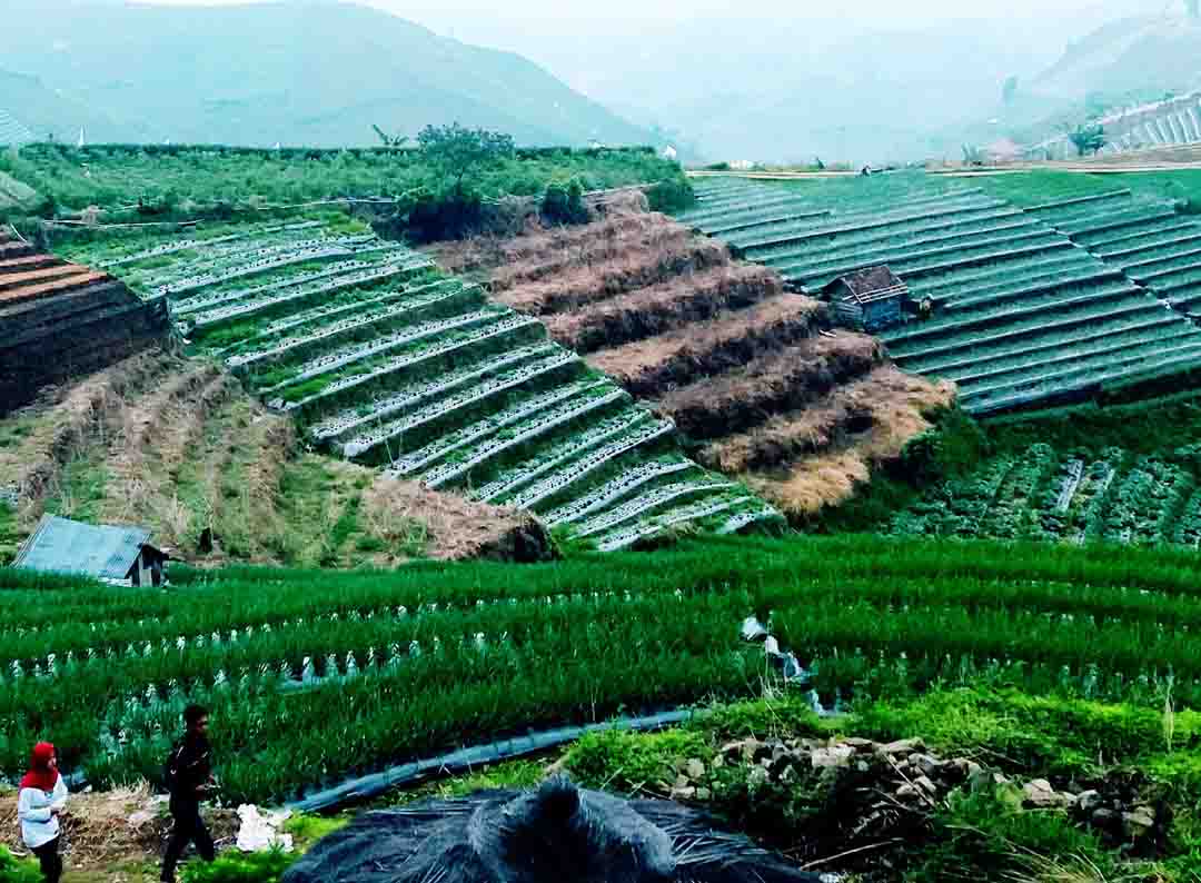 Bukit Mercury Majalengka