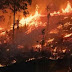 Brasil bate recorde de queimadas nos quatro primeiros meses de 2024