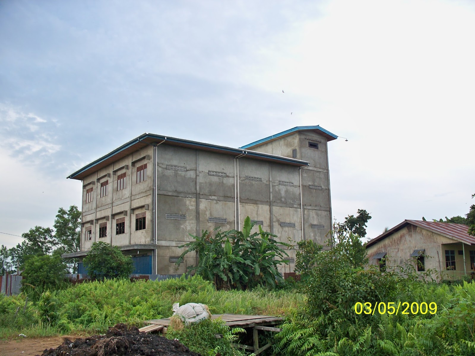 Kumpulan Gambar Rumah Walet  Burung Walet Kalimantan