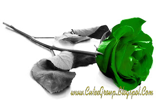 Green roseWallpaper 2