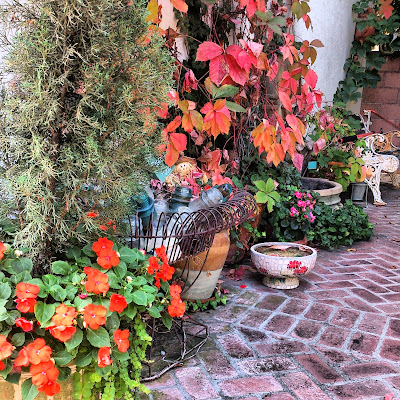 fall patio, fall leaves, fall flowers