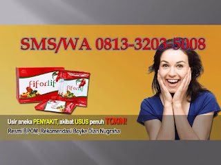 Agen jual fiforlif di Balikpapan Utara