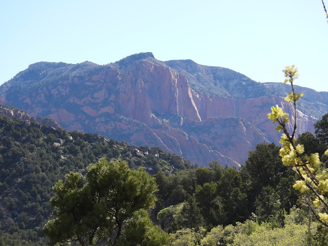 Zion National Park
