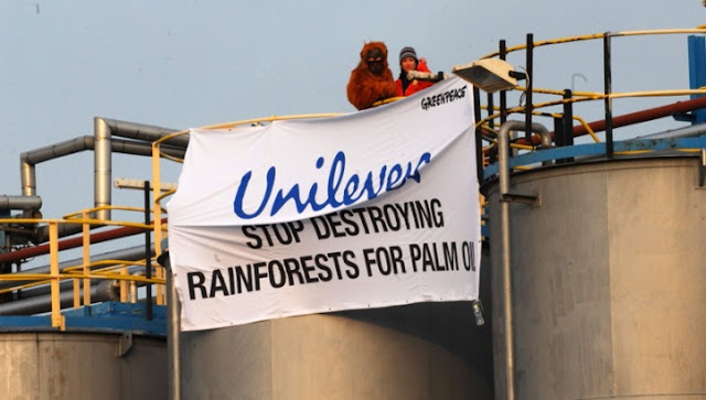 unilever stop destroying rainforests for palm oil