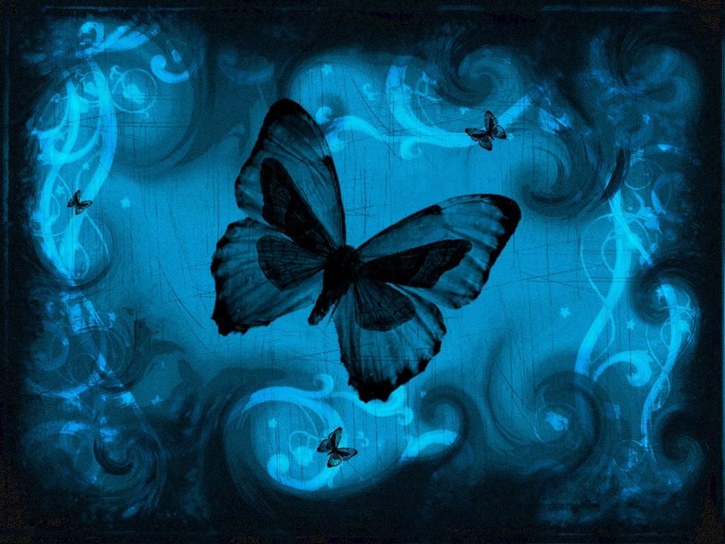 wings decoupage butterfly Blue Wallpaper Butterfly News Butterfly: