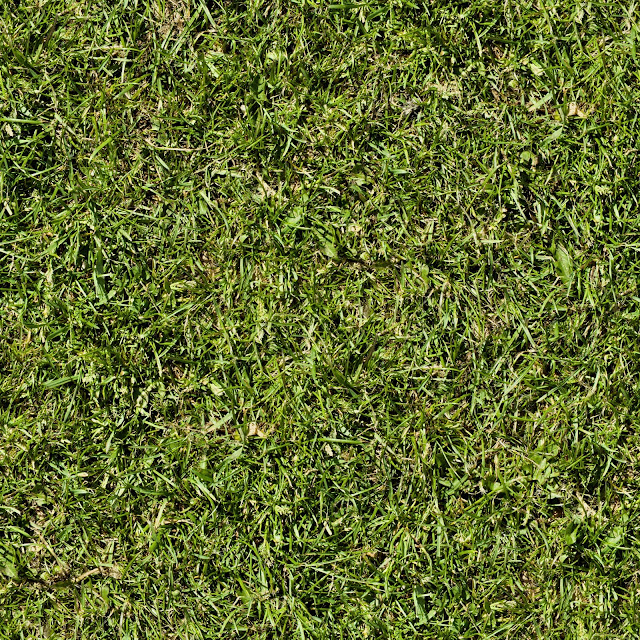 Seamless Grass Texture 2048x2048