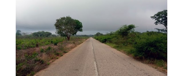 Terrorismo em Cabo Delgado: Encontrados quatro corpos sem vida em Quissanga