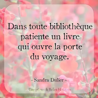 Dans toute bibliothèque patiente un livre qui ouvre la porte du voyage. (Sandra Dulier) - Citation de livre pour enfant par Comptines et Belles Histoires