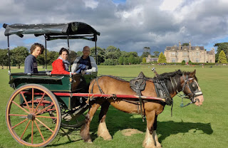 Jaunting car parked on lawn of Muckross House in Killarney National Park, Ring of Kerry, County Kerry, Ireland