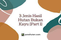 3 Jenis Hasil Hutan Bukan Kayu [Part 1]