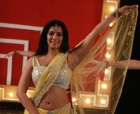 Varalakshmi Sexy Navel Show-Hot and Sexy Photos