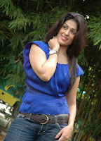 Anjana Sukhani Don Seenu Acctress