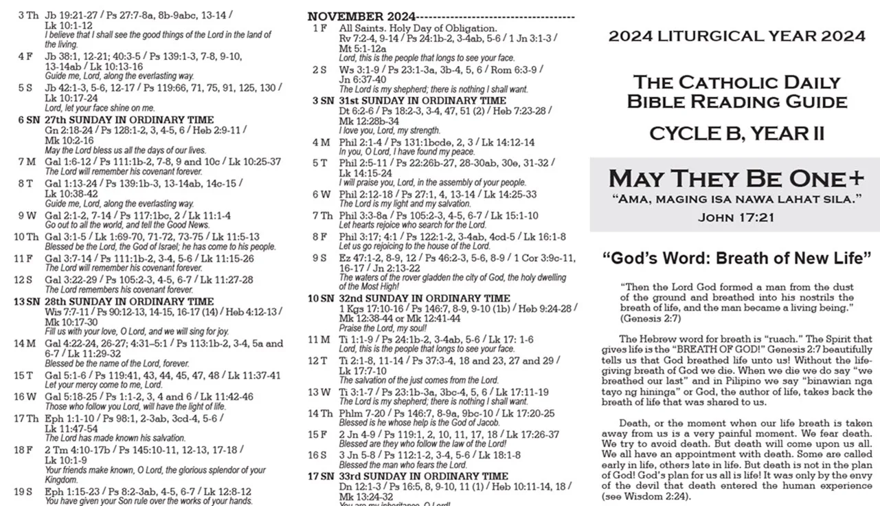 Catholic Daily Bible Reading Guide Preview