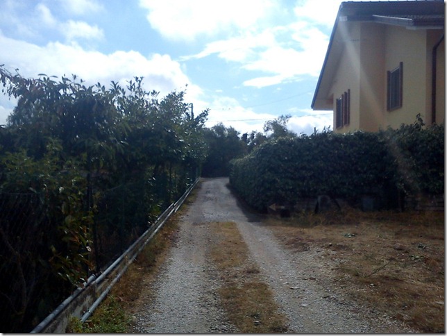 DSC00121 (Medium)