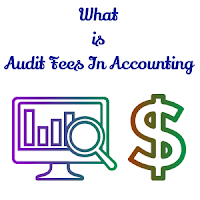 Audit Fees Accounting