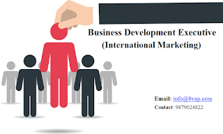  Business Development Executive (International Marketing)