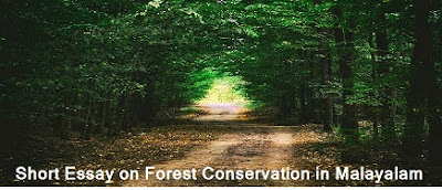 Short Essay on Forest Conservation in Malayalam