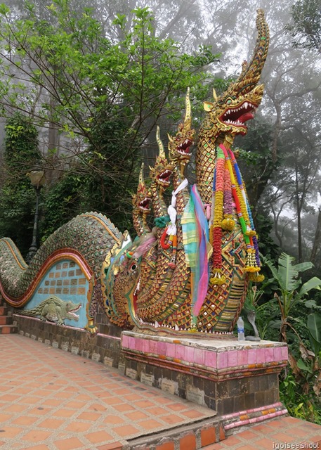 Wat Phra That Doi Sutep. The staircase is flanked by intricately carved mythical Nagas (Serpents) emerging from the mouth of a Makara. Did you see a cobra at the front of the multi-headed Nagas.