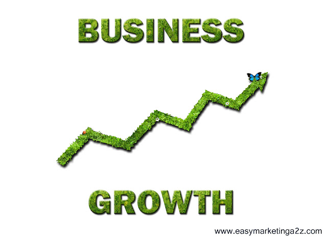 Business Growth 4