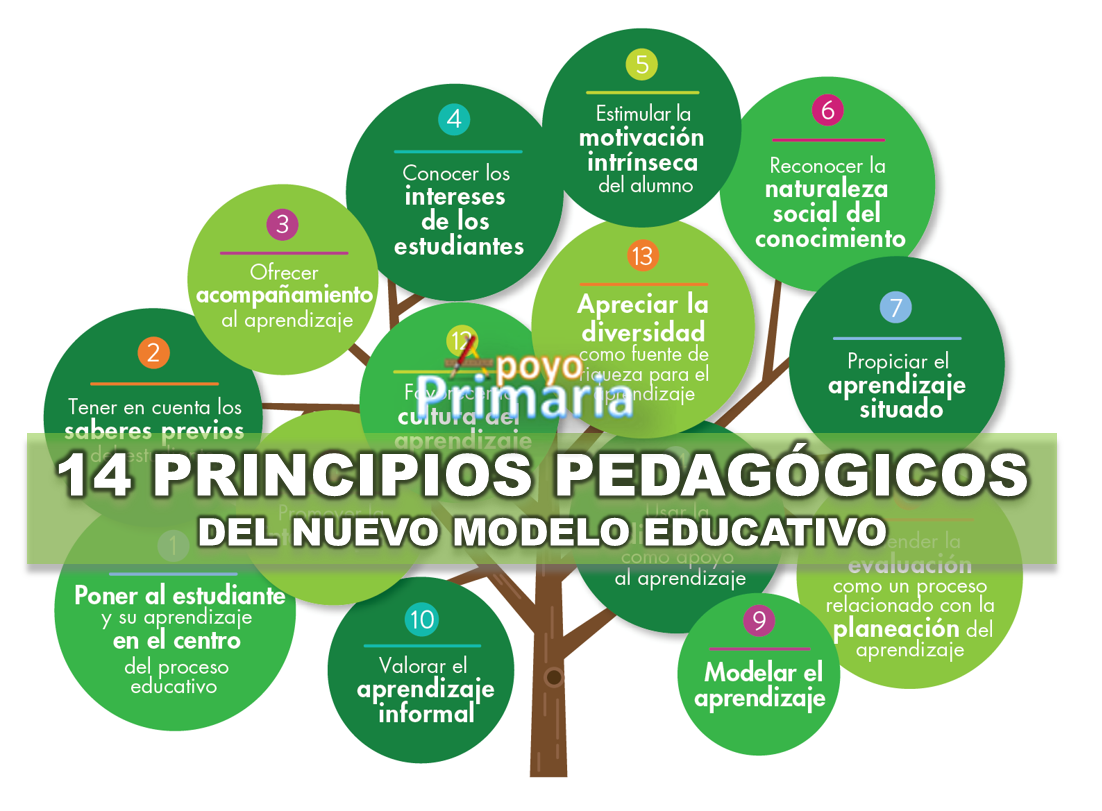 Principios Pedagógicos
