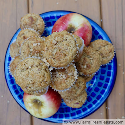 pic of a plate of easy toffee apple mini muffins and SweeTango apples