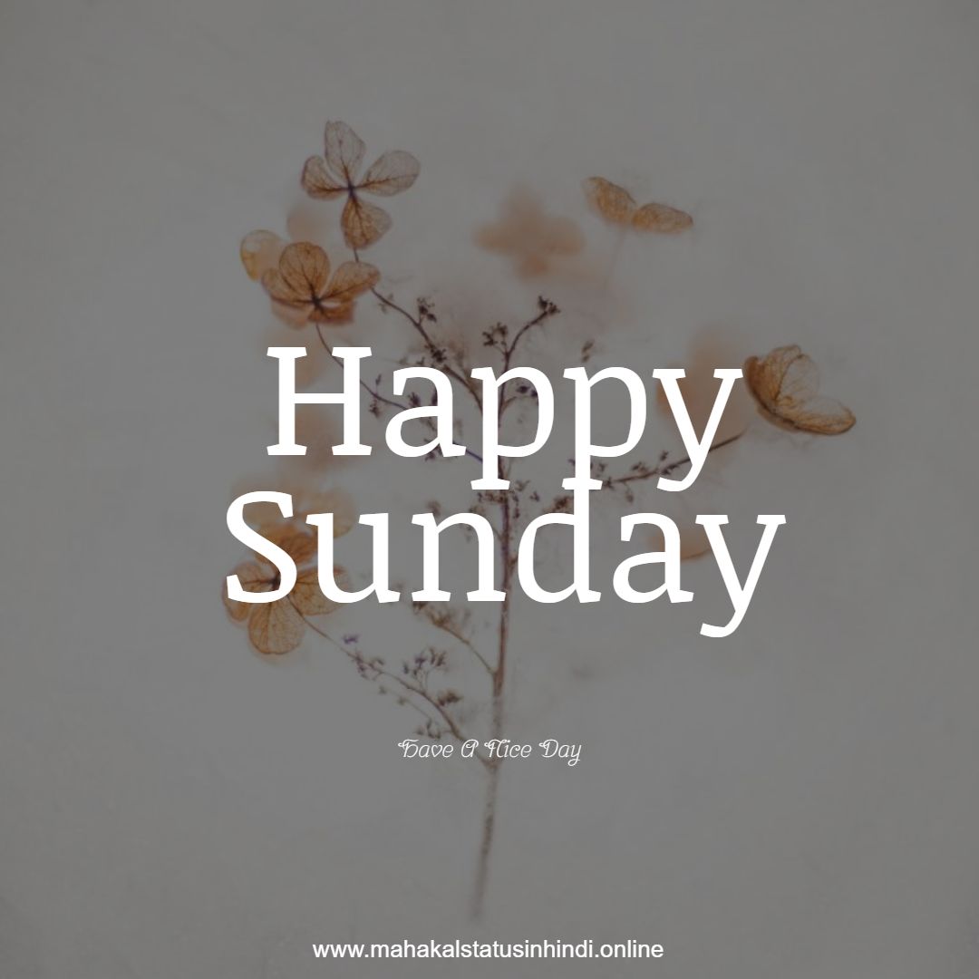 Happy Sunday Flowers  Images