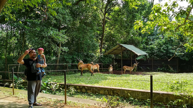 zoo melaka