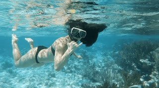 Snorkeling the Grand Cayman Barrier Reef