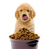 Top 4 best dog food companies