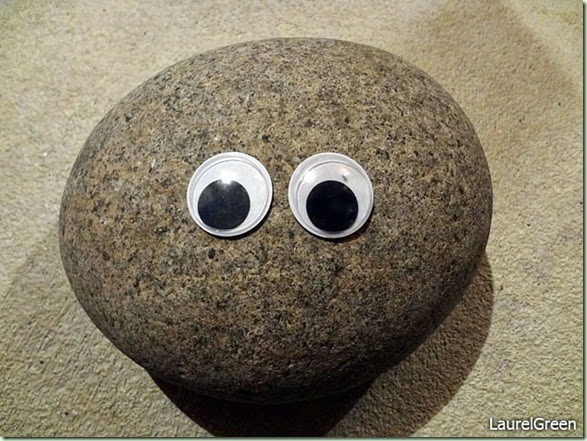 thing-a-day-2013-16-googly-eyed-rock