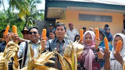 Pemko Sawahlunto Dukung Petani Jagung dengan Bantuan Bibit dan Alsintan 