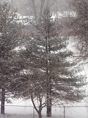 snow
