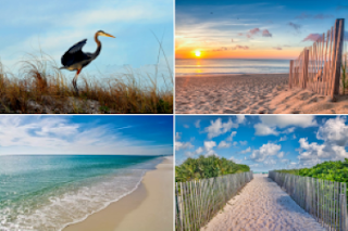 Orange Beach Condos For Sale and vacation rental homes by owner.