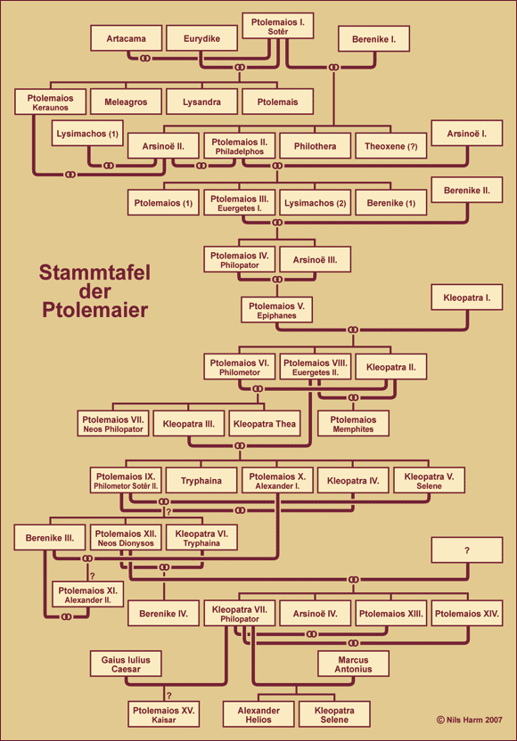 Ptolemäer Stammbaum