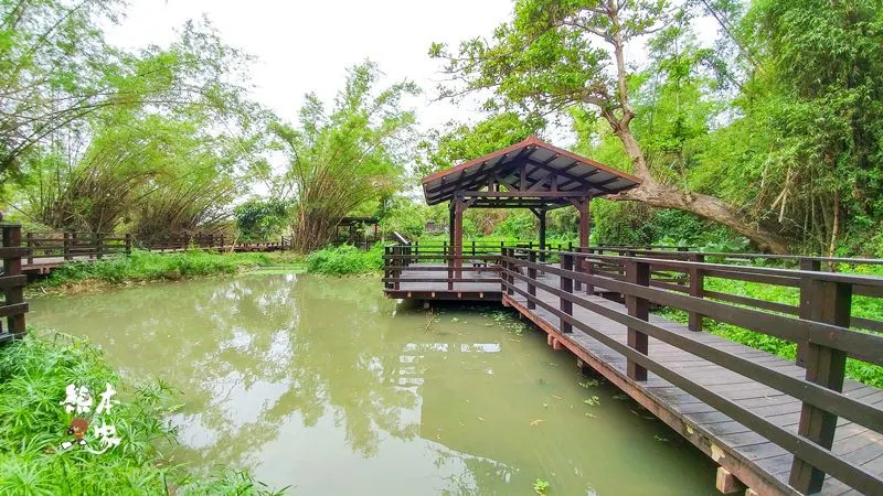 小琉球IG景點｜竹林生態濕地公園｜碧雲寺~有日本嵐山竹林的fu