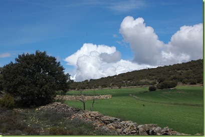 DSC_1969