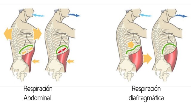 Vemos mediante dibujos los distintos tipos de respiración