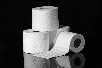 Sanitary Paper Products Market