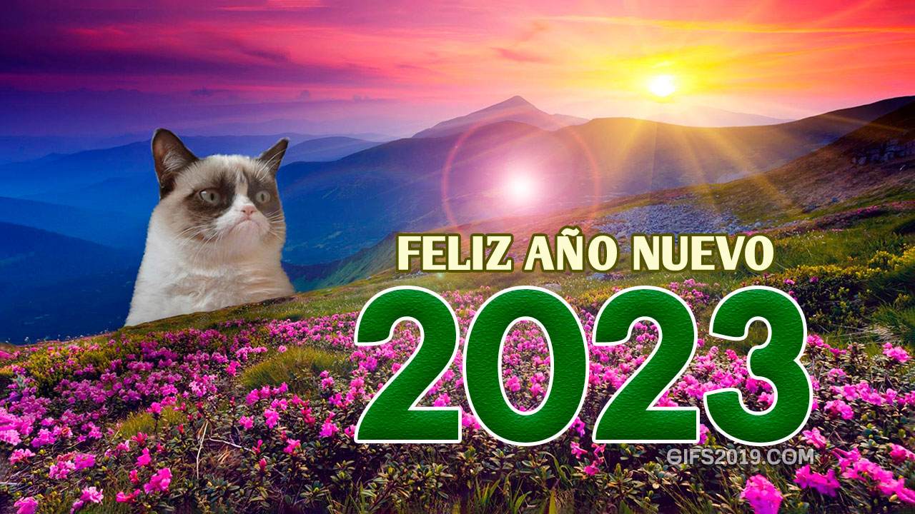 feliz año nuevo 2023 meme gato