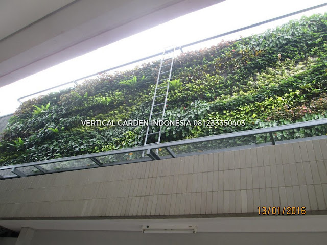 VERTICAL GARDEN INDONESIA SPESIALIS JASA PEMBUATAN VERTICAL GARDEN DI SERPONG DAN DI SELURUH WILAYAH SERPONG DENGAN TENAGA YANG PROFESIONAL DAN DAPAT DI PERCAYA YANG SELALU MENGUTAMAKAN SEBUAH MUTU DAN KUALITAS PEMASANGAN VERTICAL GARDEN/TAMAN DINDING, JASA TUKANG TAMAN VERTICAL SERPONG, JASA VERTICAL GARDEN SERPONG