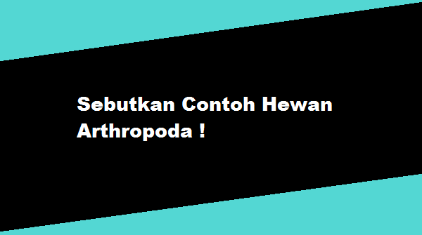 Sebutkan Contoh  Hewan  Arthropoda  TAHUKAH KAMU