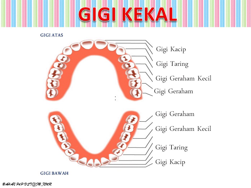 Dunia Sains dan Teknologi (Belajar dengan Ceria): DST 