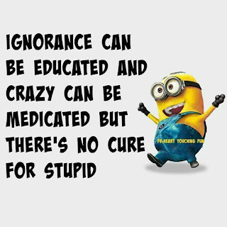 funny minion quotes images and pics about love and life 12