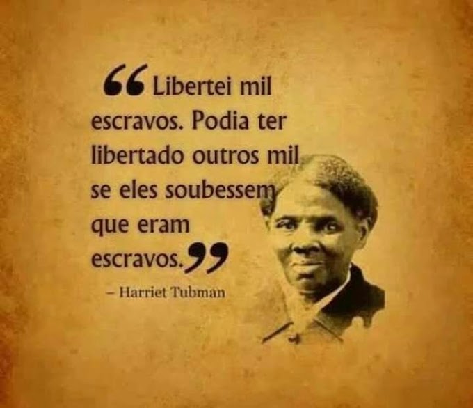 O PSD-M defende a nojentice absoluta