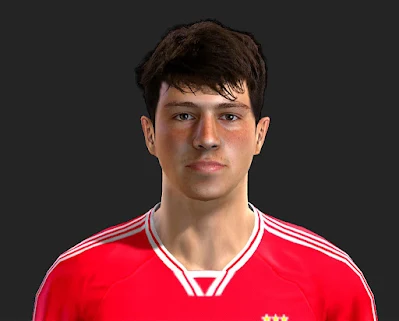 PES 2013 João Neves Face