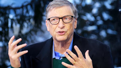 Bill Gates states that NFTs based on the "greater fool" theory support the preference for key assets.