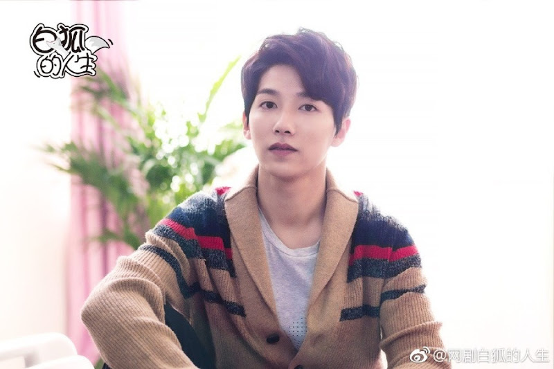 The Life of the White Fox China Web Drama