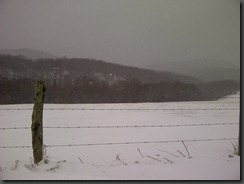 IMG-20130202-00025